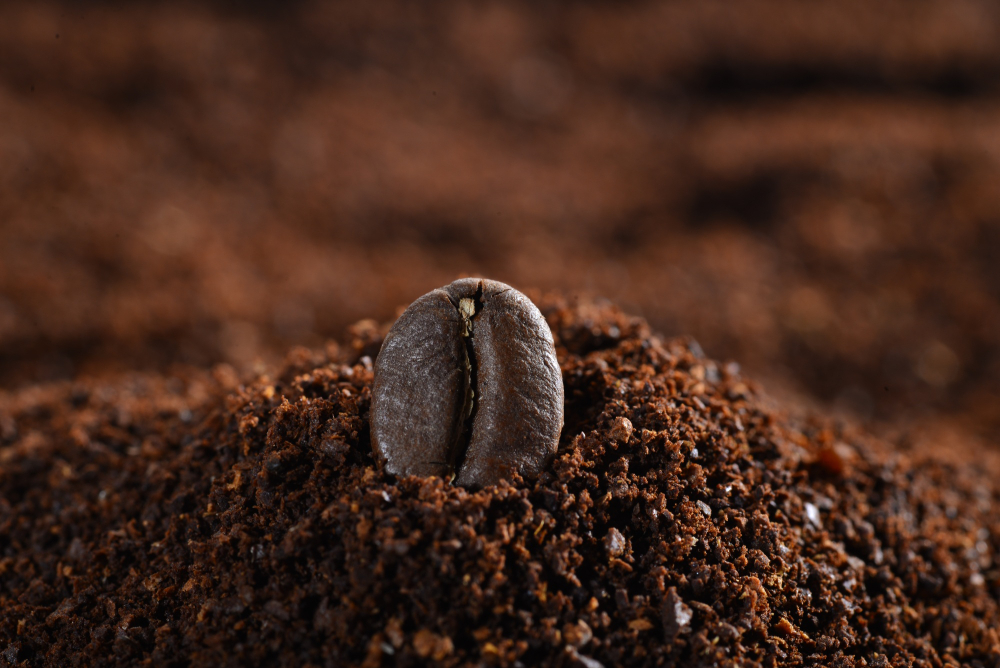 Quais são os tipos de café mais consumidos? 2 cafe grao po